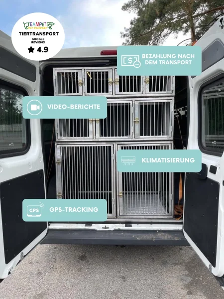 haustiertransport international