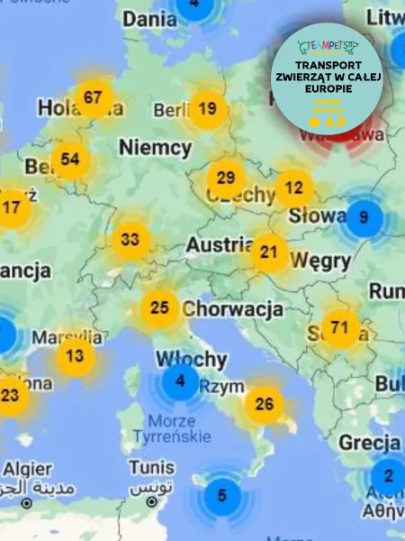 trasa-transportu-zwierzat-do-czech-slowacji-austrii-slowenii-i-wloch